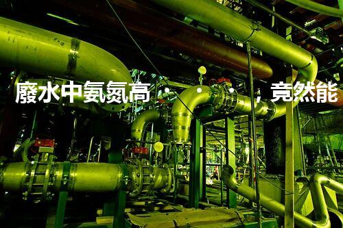 廢水中氨氮高，竟然能夠創(chuàng)造奇跡？！